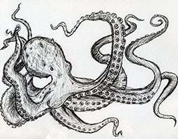 ink pen sketch of octopus